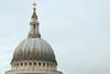 View from the roof terrace, the height of which is determined by St Paul’s.