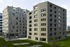 View of the Nordbahnhof blocks by Werner Neuwirth (left) and Sergison Bates (right) across the communal garden.