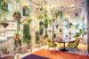 An example of a biophilic interior