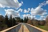 At 284m the Westonbirt Treetop Walkway is the longest in the UK