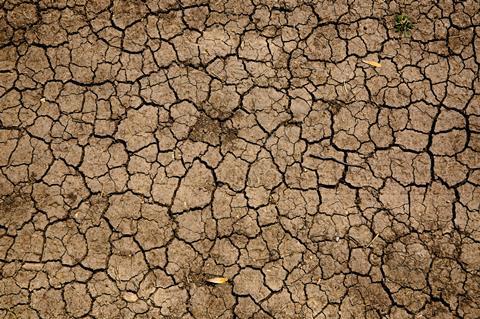 drought unsplash