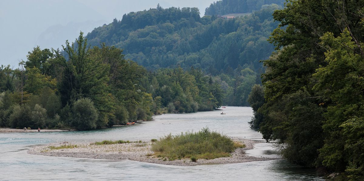 Die Gemeinde Belp will keine Stelle für Umwelt schaffen - im Bild die Natur am Fluss. 